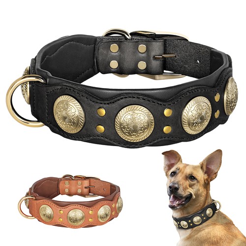 Studded leather dog collar - studded,