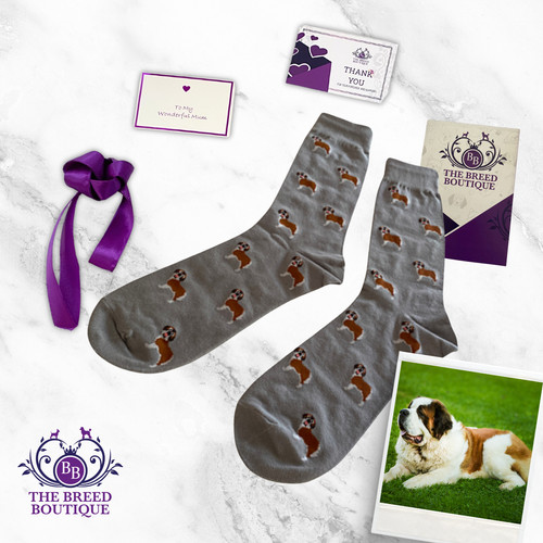 Bernard dog print socks - st.,