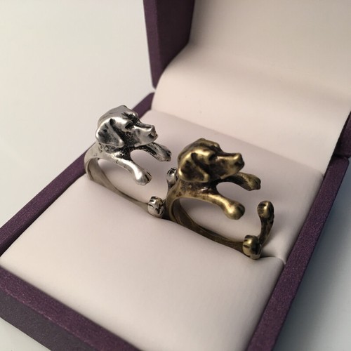 Labrador retriever ring silver - labrador,