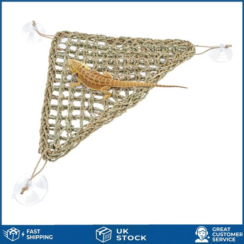 Reptile lounger and - hammock,