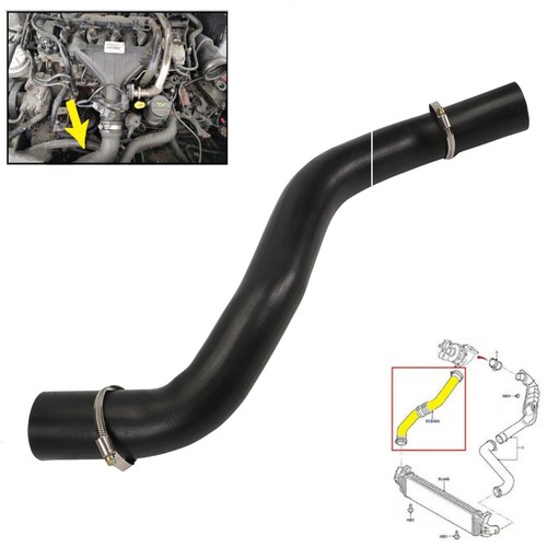 Turbo intercooler hose - turbo,