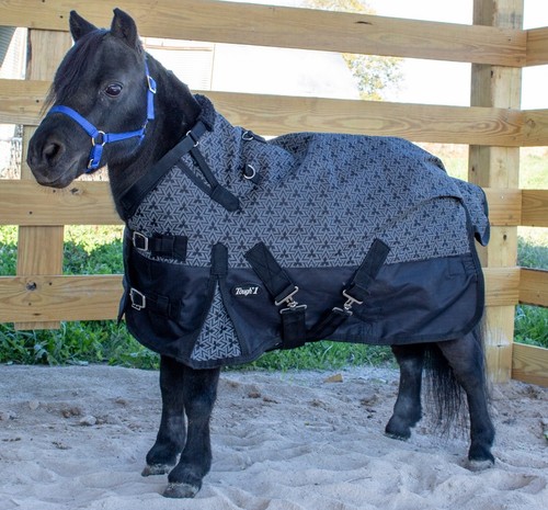 Miniature horse heavy winter - miniature,