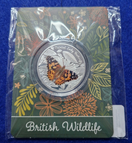 Painted lady butterfly - lady,