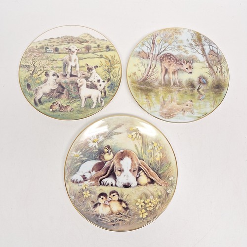 Rspca plate collection from - plate,