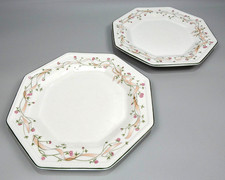 Set of 2 Eternal Beau Ceramic 10" Dinner Plates by Johnson Brothers  ~ VGC