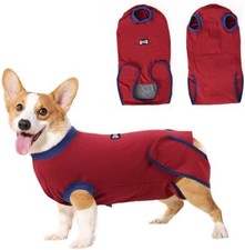 Doglemi Dog Surgical Recovery