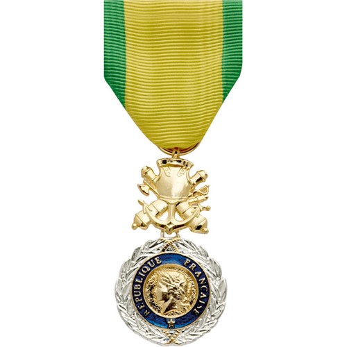 Military medal jaune - military, in