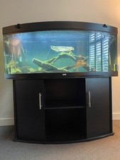 450L  Juwel Vision fish tank aquarium