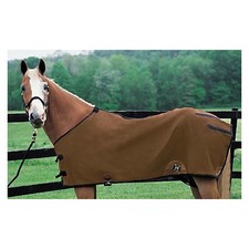 Weaver Basic Canvas Horse