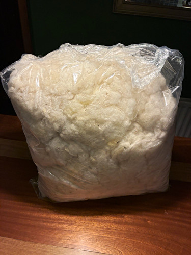 Large bag 500g raw - of, picked