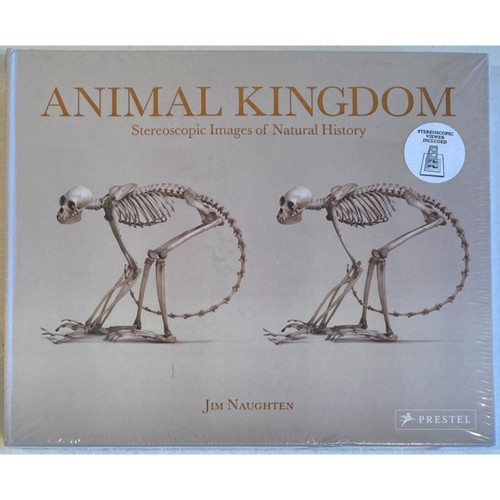 Animal kingdom stereoscopic - kingdom:,