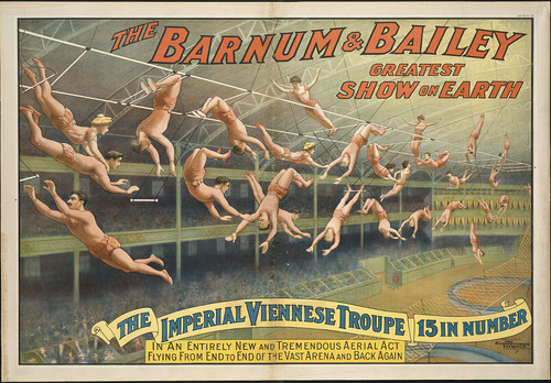 Circus trapeze poster - circus,