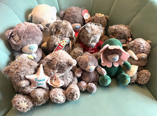 You bear tatty - you,