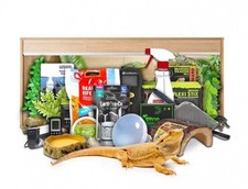 Swell Reptiles Bearded Dragon