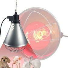 Heat Lamp Brooder With Reducer