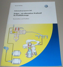 VW Golf IV 1J SSP 262 Erdas