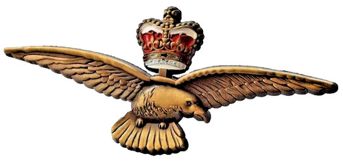 Raf pilot wings - eagle, and