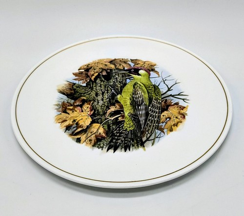 Hammersley bone china green - china,