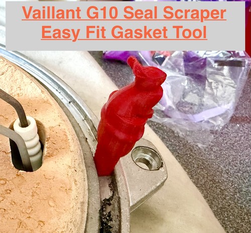 Bunny g10 seal - bunny,