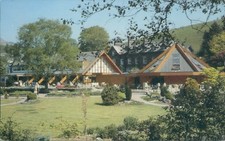 Ambleside lake nurseries KLD