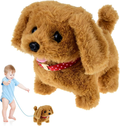 Toy dogs for - toy,