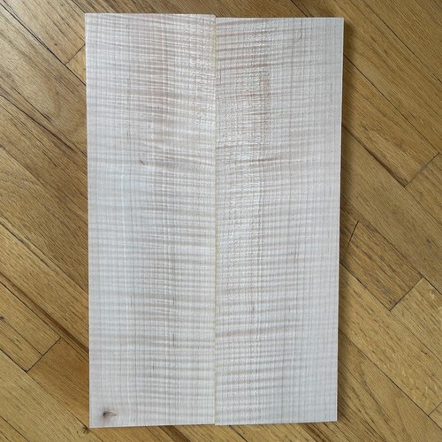 Maple top paulownia - top, small