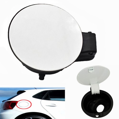 Gas fuel tank lid - door,