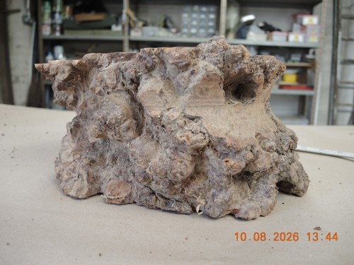Burr elm wood blank - burr,