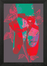 The Red Pointe Shoes Floral Abstrac Framed Wall Art Poster Canvas Print Picture