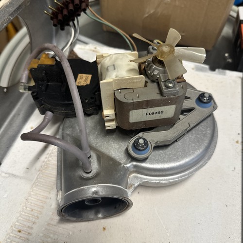 Genuine baxi solo 40 - 40, 50