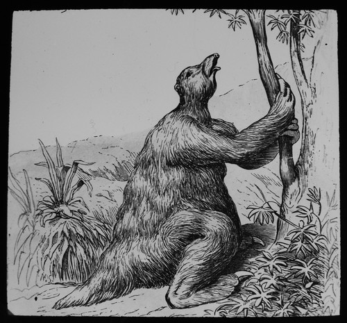 Magic lantern slide - magic,