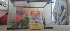 20l Aquarium With Accesories