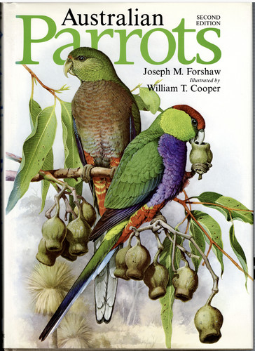 Australian parrots 2nd - parrots,