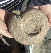 Large Unprepared/Rough Permian