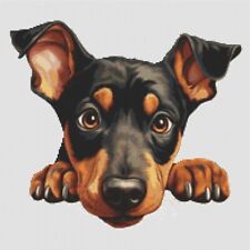 Doberman Pinscher Puppy Dog