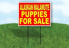 Alaskan Malamute PUPPIES FOR