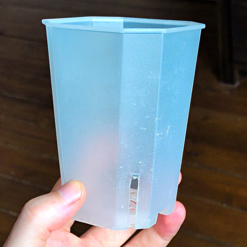 Clear plastic plant - cm,