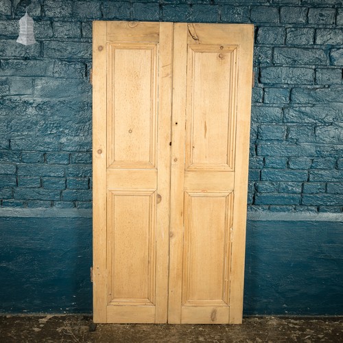 Pine cupboard doors pair - doors,, of
