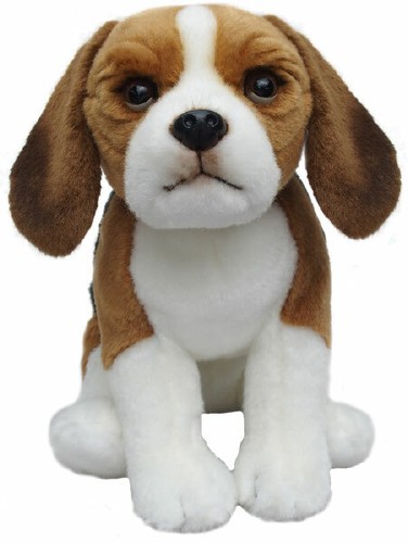 Beagle teddy beagles soft - beagle,