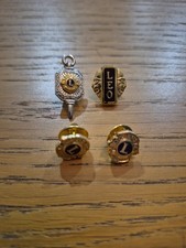 Lions Club International Pin