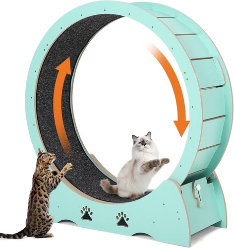 Cat exercise wheel wooden - exercise,