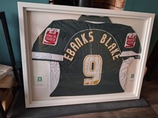 Plymouth Argyle Signed Framed Match Worn Sylvan Ebanks-Blake Football Shirt
