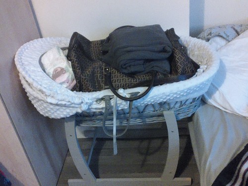 Baby moses basket - moses,