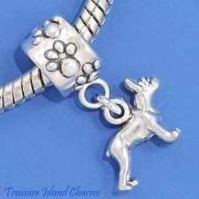 Boston Bull Terrier Dog French