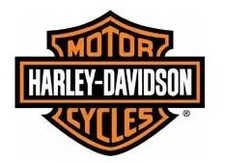 Harley-Davidson Touring 49mm