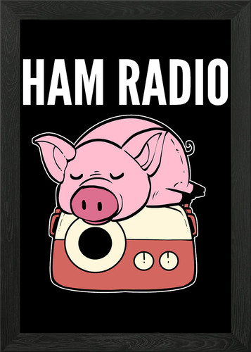 Ham radio newscaster gift - ham,