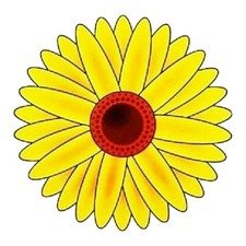 16Pcs Fly Catchers Window