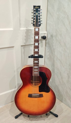 Aria 30t twelve string - aria,