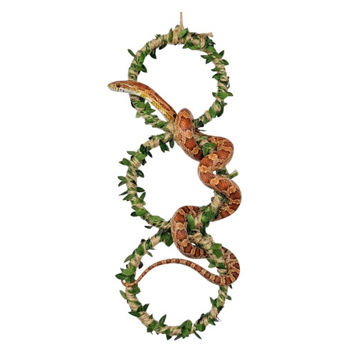 Tier snake climbing rings - snake,