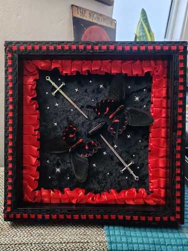 Pachliopta kotzebeau framed - kotzebeau,